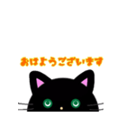 鼻上クロネコ（個別スタンプ：1）