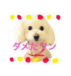a.g.m（個別スタンプ：8）