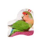 うちのぴーちゃん（個別スタンプ：3）