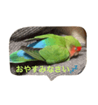 うちのぴーちゃん（個別スタンプ：4）