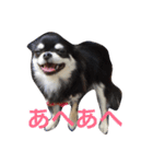 ももだけど？！（個別スタンプ：2）