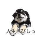 ももだけど？！（個別スタンプ：3）