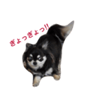 ももだけど？！（個別スタンプ：4）