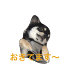 ももだけど？！（個別スタンプ：5）