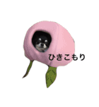 ももだけど？！（個別スタンプ：6）