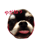 ももだけど？！（個別スタンプ：7）