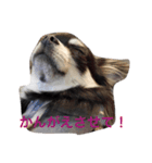 ももだけど？！（個別スタンプ：9）