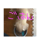 りょーー（個別スタンプ：3）