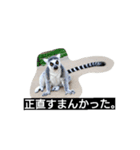 追加の動物ちゃん（個別スタンプ：4）