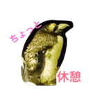どうぶつ編（個別スタンプ：7）