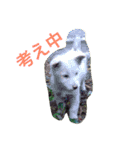 どうぶつ編（個別スタンプ：8）