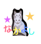 どうぶつ編（個別スタンプ：10）