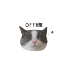 CC(17.134)（個別スタンプ：5）