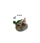 CC(17.134)（個別スタンプ：7）