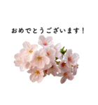サクラサク♡さくら♡桜♡（個別スタンプ：7）