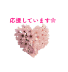 サクラサク♡さくら♡桜♡（個別スタンプ：17）