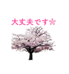 サクラサク♡さくら♡桜♡（個別スタンプ：34）