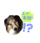 エース！（個別スタンプ：2）