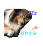 エース！（個別スタンプ：4）