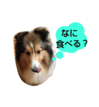 エース！（個別スタンプ：5）