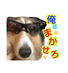 エース！（個別スタンプ：8）