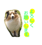 エース！（個別スタンプ：12）