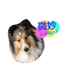 エース！（個別スタンプ：14）