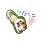 エース！（個別スタンプ：15）