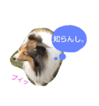 エース！（個別スタンプ：16）