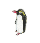 話してるよ水族館（個別スタンプ：20）