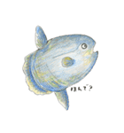 話してるよ水族館（個別スタンプ：26）