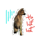 モカぽんと仲間たち（個別スタンプ：2）