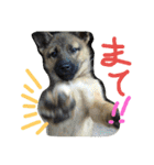 モカぽんと仲間たち（個別スタンプ：7）