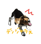 モカぽんと仲間たち（個別スタンプ：9）
