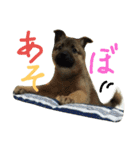 モカぽんと仲間たち（個別スタンプ：14）