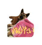 モカぽんと仲間たち（個別スタンプ：25）