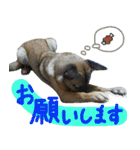 モカぽんと仲間たち（個別スタンプ：29）