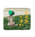 モカぽんと仲間たち（個別スタンプ：37）