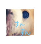 じょんとらい（個別スタンプ：8）