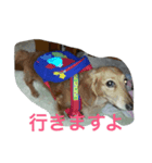 やんさんの日常（個別スタンプ：1）