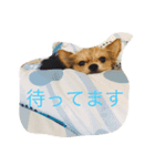 tey3（個別スタンプ：1）