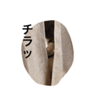 テトスタンプ（個別スタンプ：6）