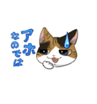 縞三毛うみちゃん（個別スタンプ：1）