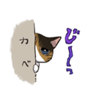 縞三毛うみちゃん（個別スタンプ：7）