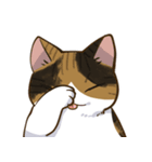縞三毛うみちゃん（個別スタンプ：16）