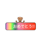 自分と家族のスタンプ（個別スタンプ：10）