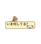 自分と家族のスタンプ（個別スタンプ：25）