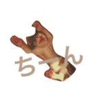 茶トラと三毛猫（個別スタンプ：10）