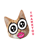 茶トラと三毛猫（個別スタンプ：12）