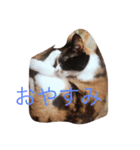 なな＆せいや（個別スタンプ：2）